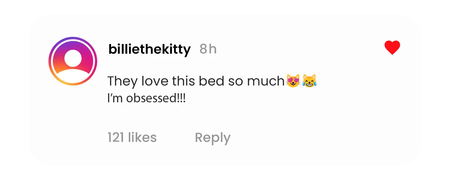 Instagram comment praising a pet bed