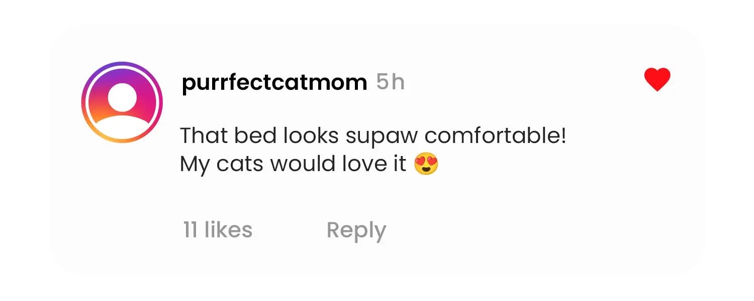 Instagram comment about a comfortable cat bed