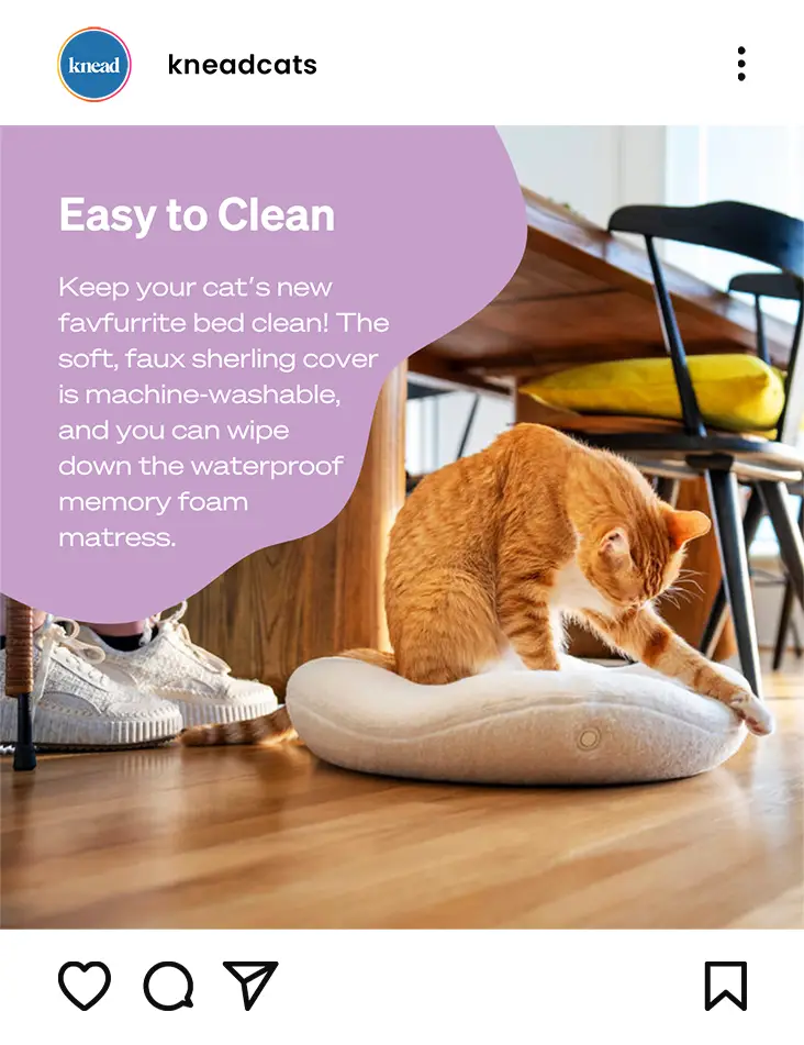 Orange cat on washable faux sherling mattress.