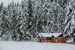 Snow-covered forest with a wooden cabin