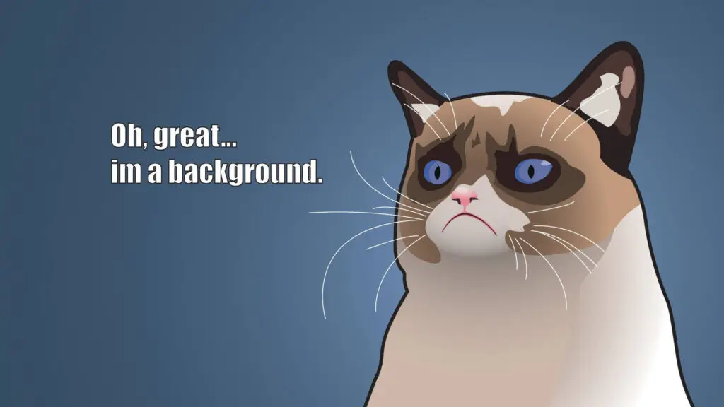 Illustration of unhappy cat with humorous text.