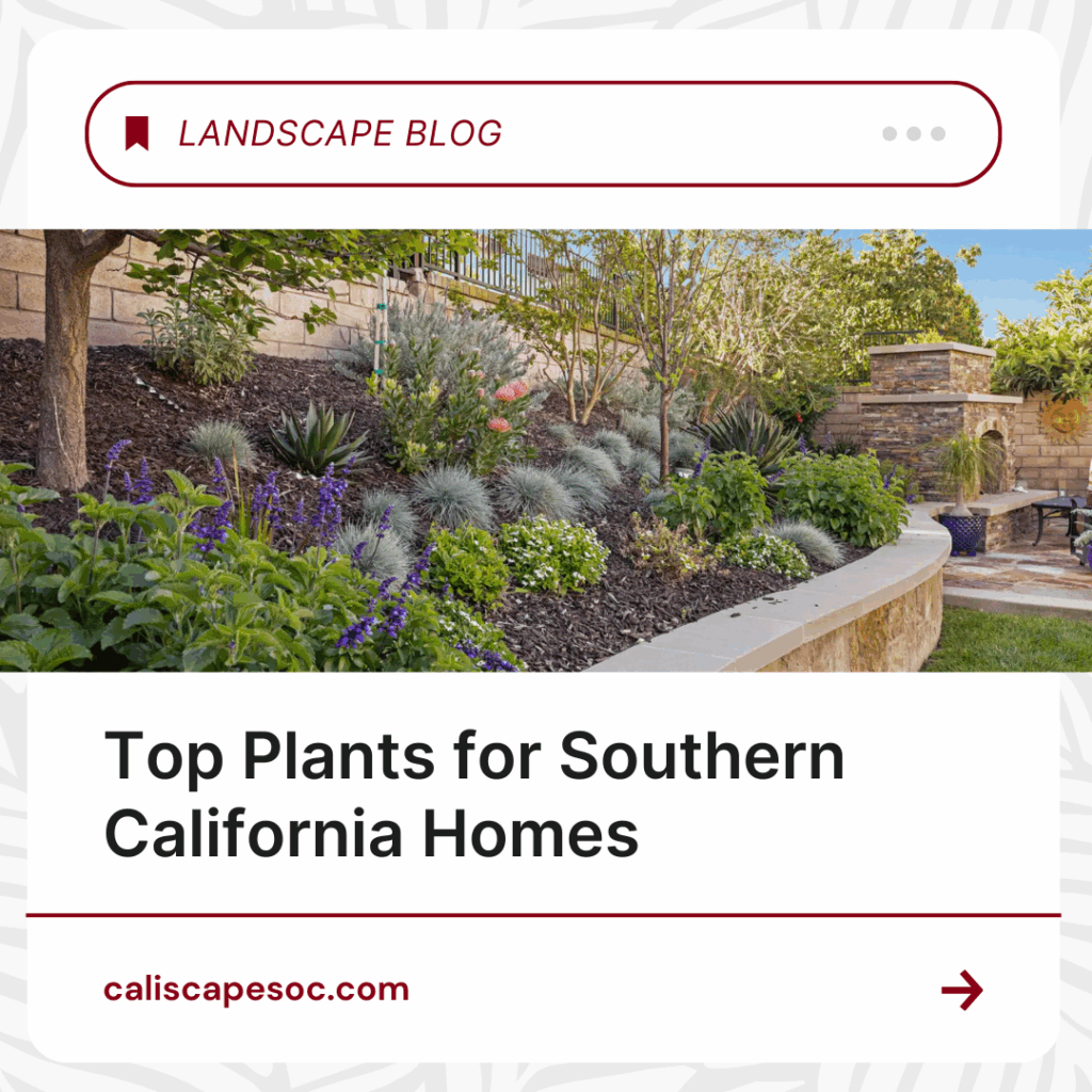 Landscape garden with diverse plants and trees.