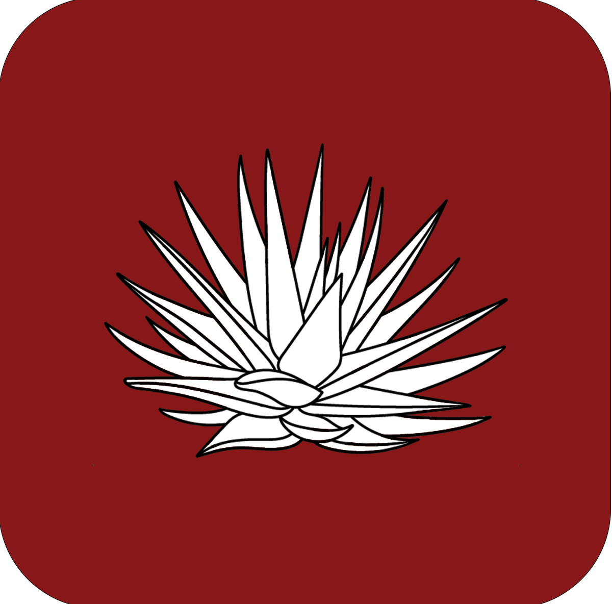 White agave plant on red background.