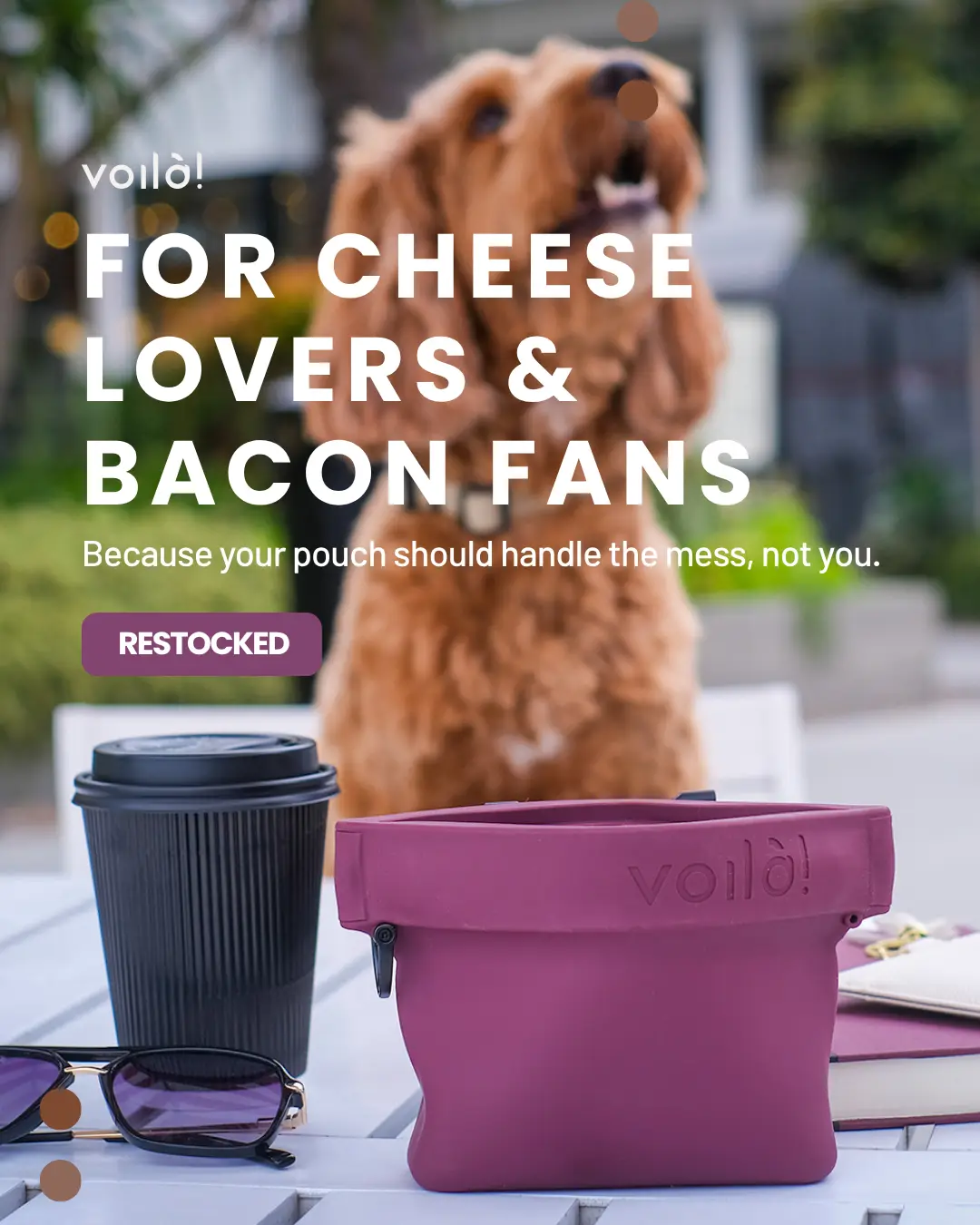 Reusable Voilà pouch with coffee and dog outdoors