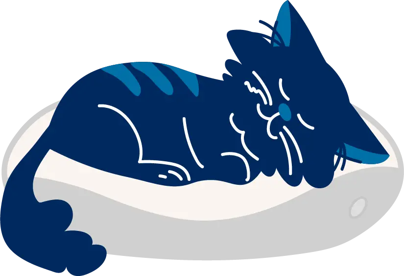 Illustration of a cat sleeping on a cushion