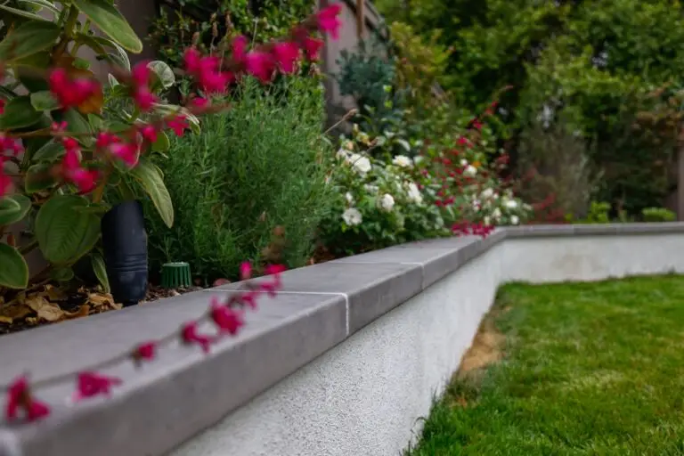 marshhawk 17 large 1024x683