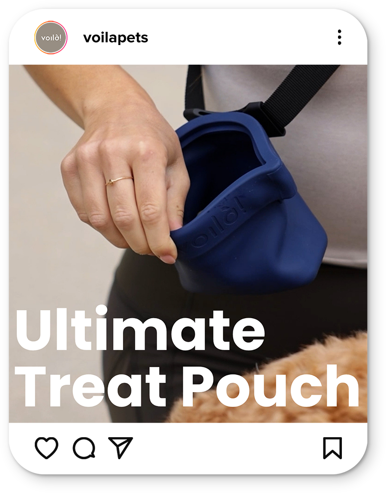 Person using blue pet treat pouch