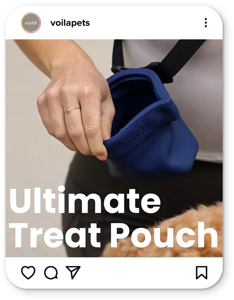 Person using blue pet treat pouch