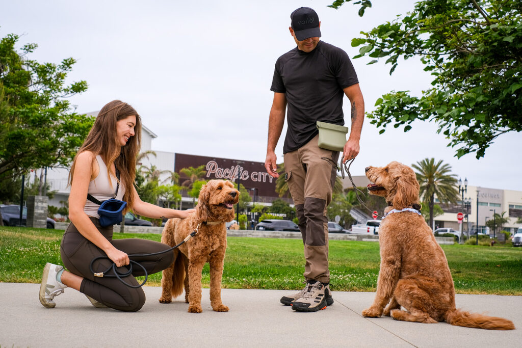 Two people with Labradoodles in a park