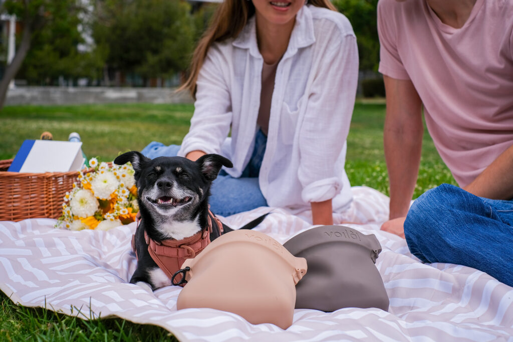 Happy dog with couple on picnic blanket