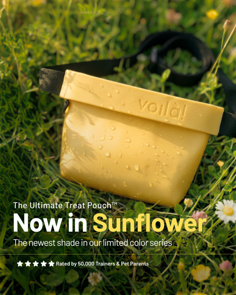 vp sunflower launch ads – may 2026