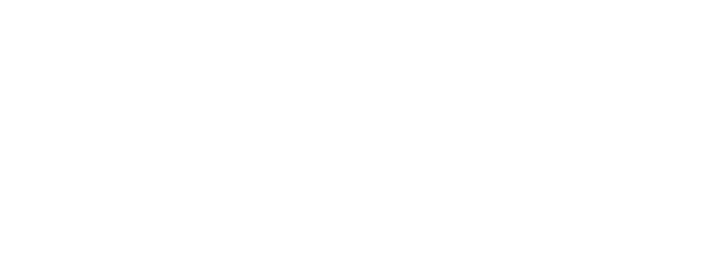 onyx logo white