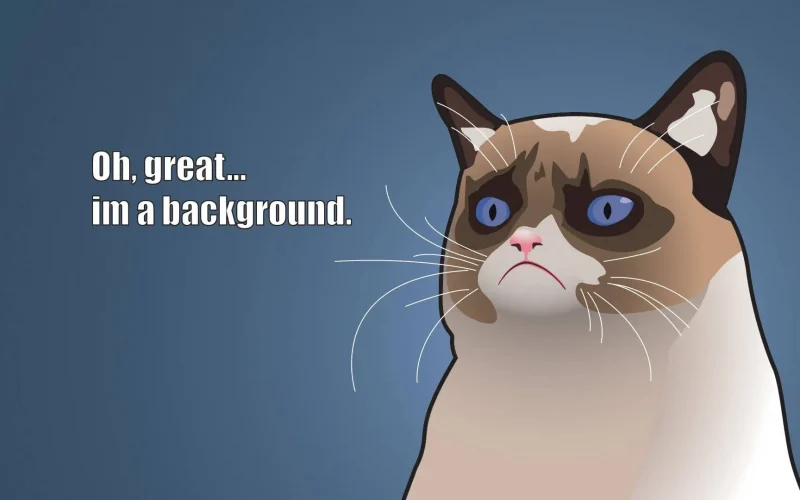 Illustration of unhappy cat with humorous text.