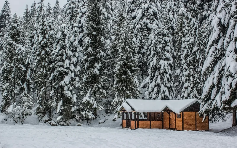 Snow-covered forest with a wooden cabin