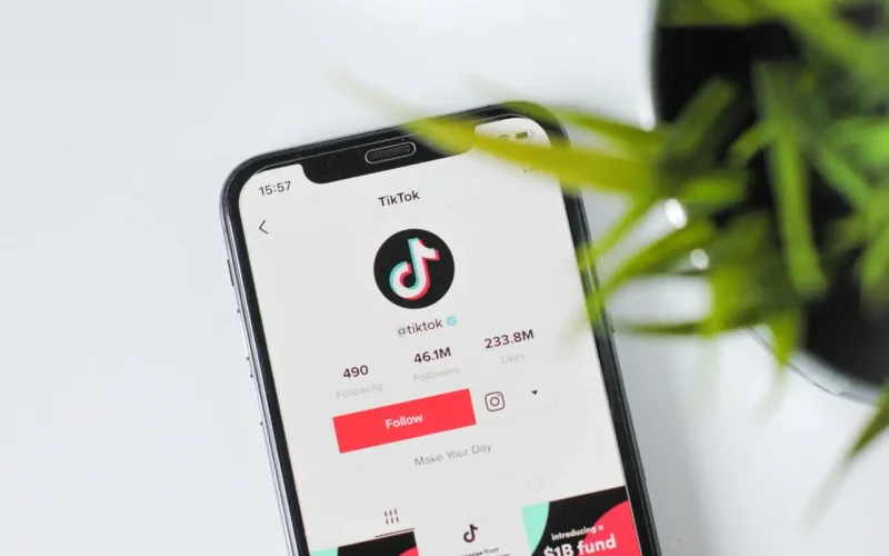 TikTok profile on smartphone screen and plant.